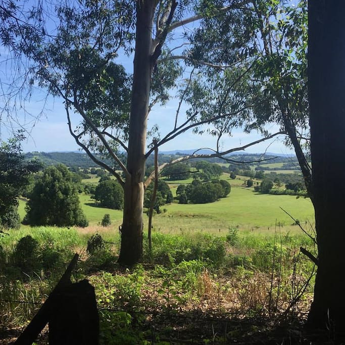 We are tucked away amid the green, rolling hills of the Byron Bay hinterland