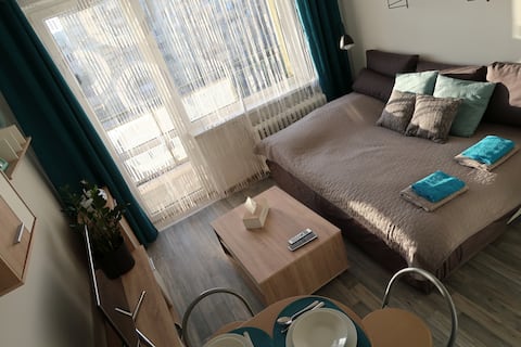 Cozy Studio Apartment in City Center