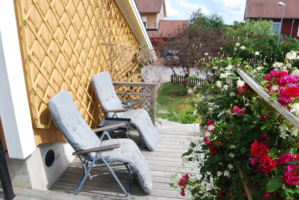 Longe chairs