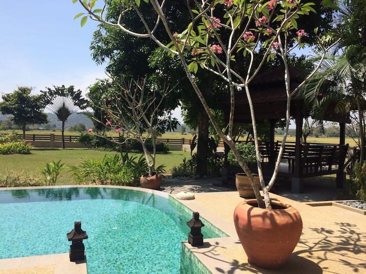 Villa Laman Padi Villas For Rent In Langkawi Kedah Malaysia
