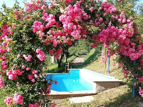 Il Pozzo - Nature and Bioenergy