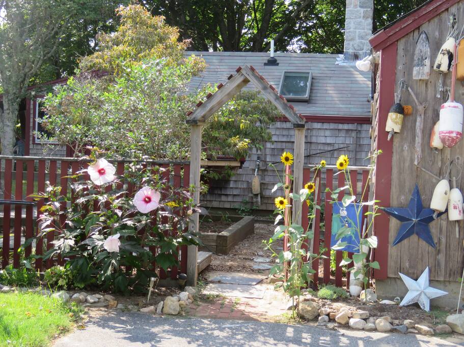 Summer blooms welcome you from the parking area.