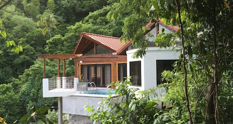Serrana Villa -Contemporary $1M Piton View Retreat