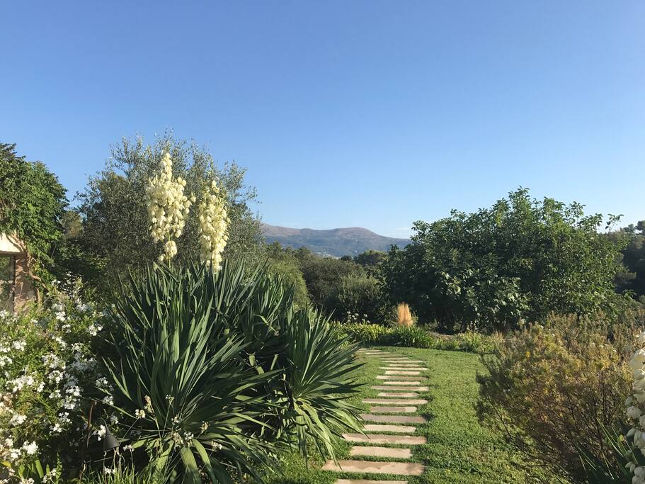 Le jardin et á gauche sur la photo les fenêtres de l’Atelier avec une vue mer fantastique sur Nice, le Cap Ferrat.
