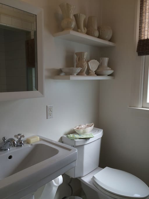 Modern Bathroom with Shower