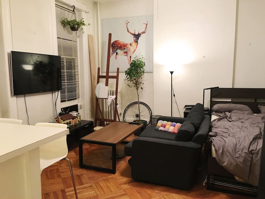 Livingroom/Bedroom Space