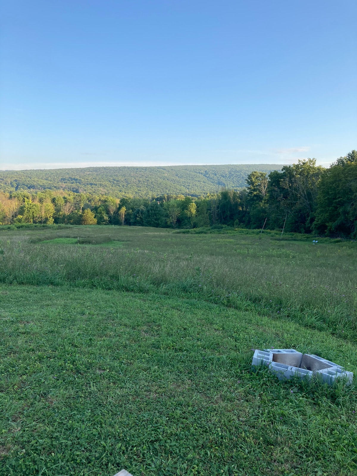 A wide view of a grassy field is presented, bordered by trees and rolling hills in the distance. The sky appears clear and blue, creating a serene backdrop for outdoor activities. A small firepit made of stone is positioned on the lower left.