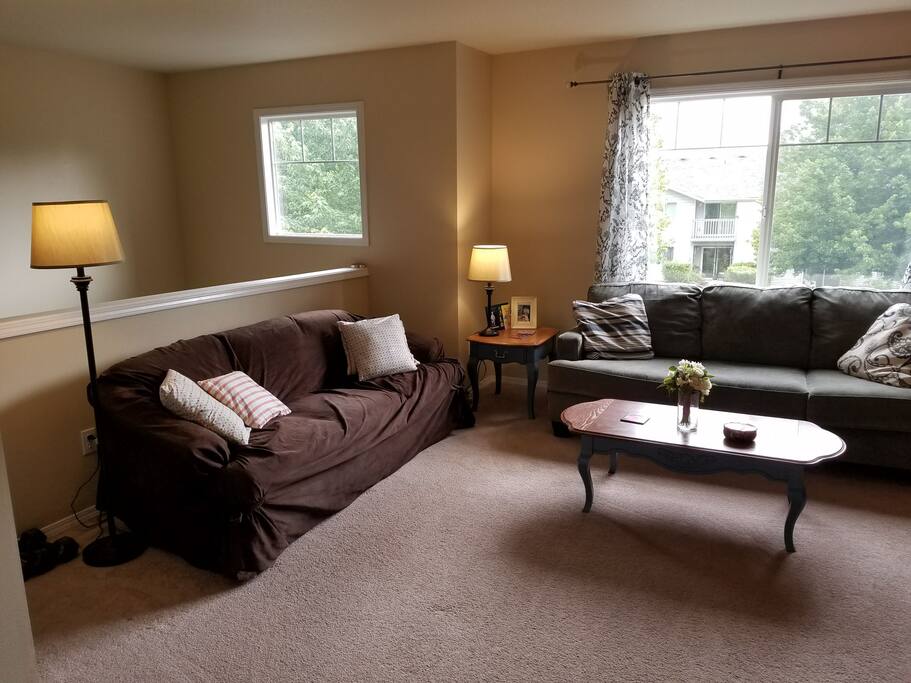 Brown couch folds out to queen bed.