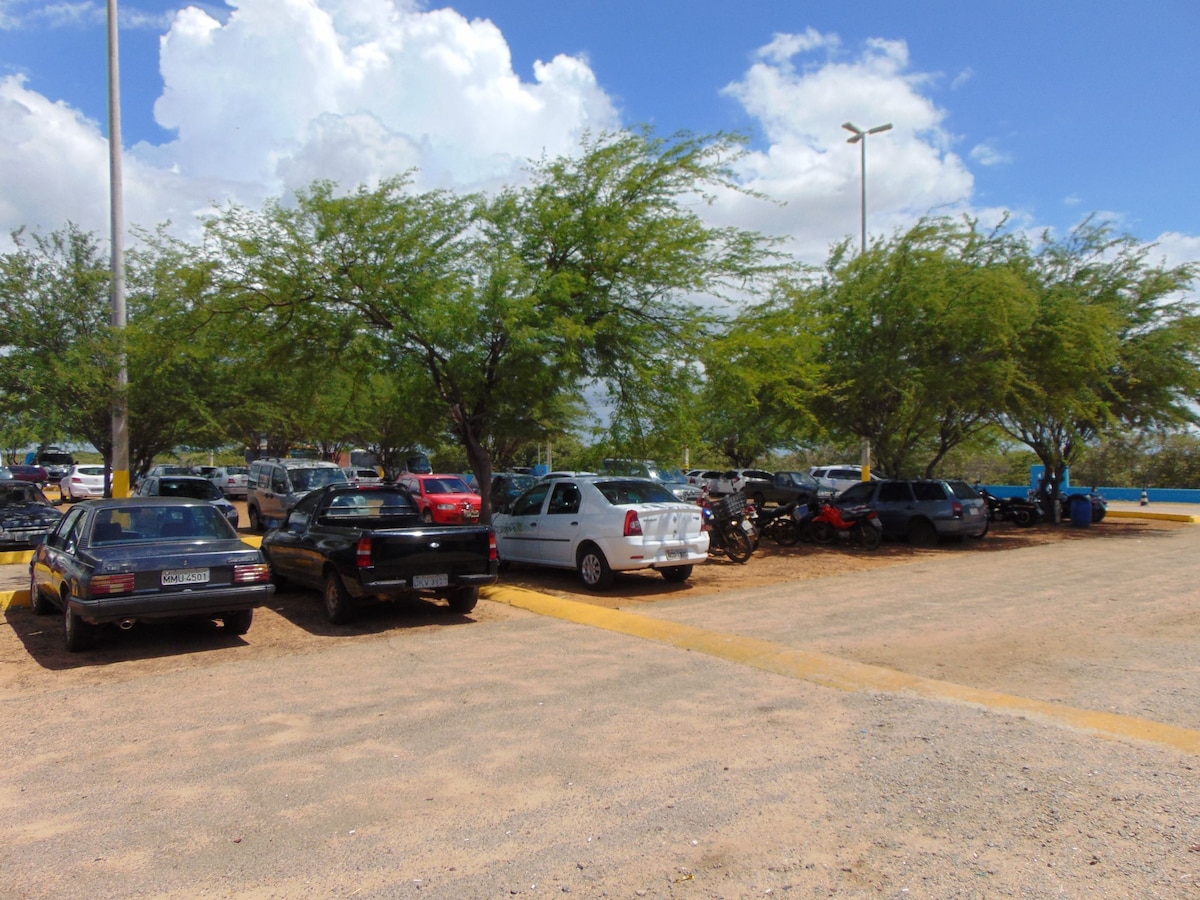 A parking area is shown, featuring various vehicles parked under a canopy of green trees. The space offers accessibility with clearly marked lines and a gravel surface, allowing easy access to nearby attractions. The bright sky is complemented by a few scattered clouds.
