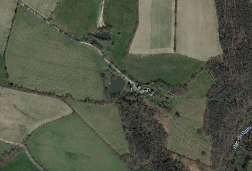 Ariel view
