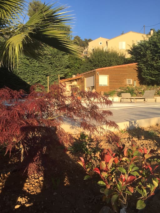 Jardin avec ses plantes aromatiques et méditerranéennes, ses lavandes, romarin, thym palmiers,