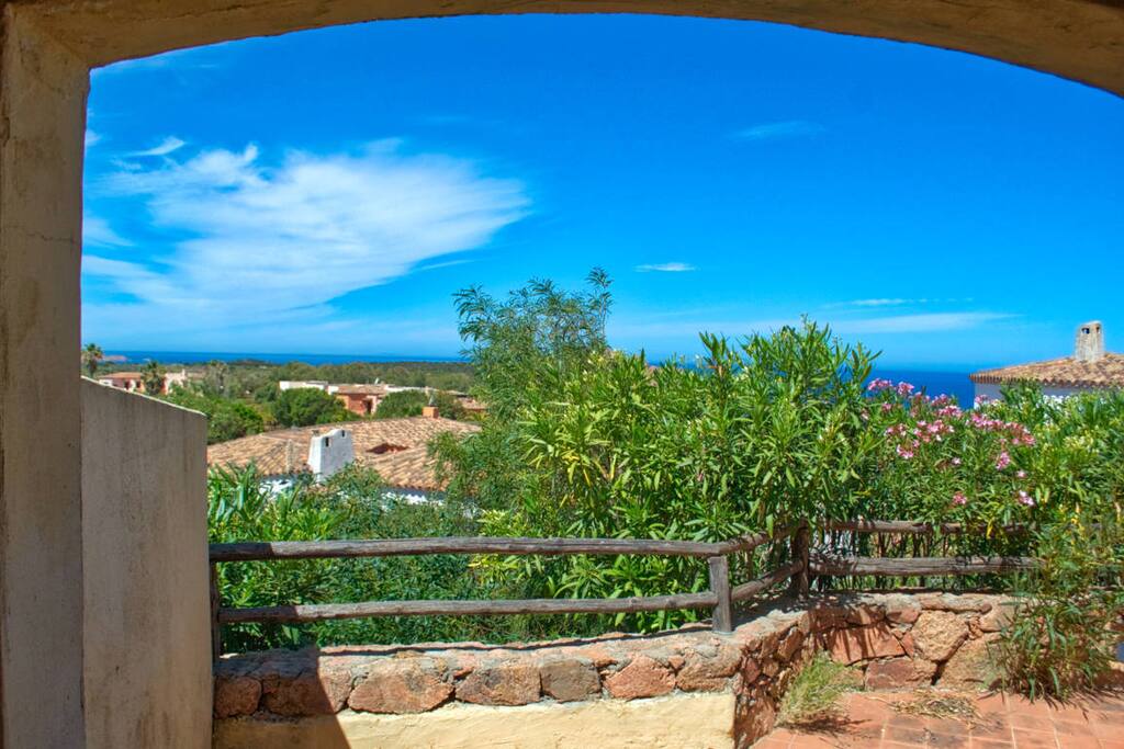 From The Terrace