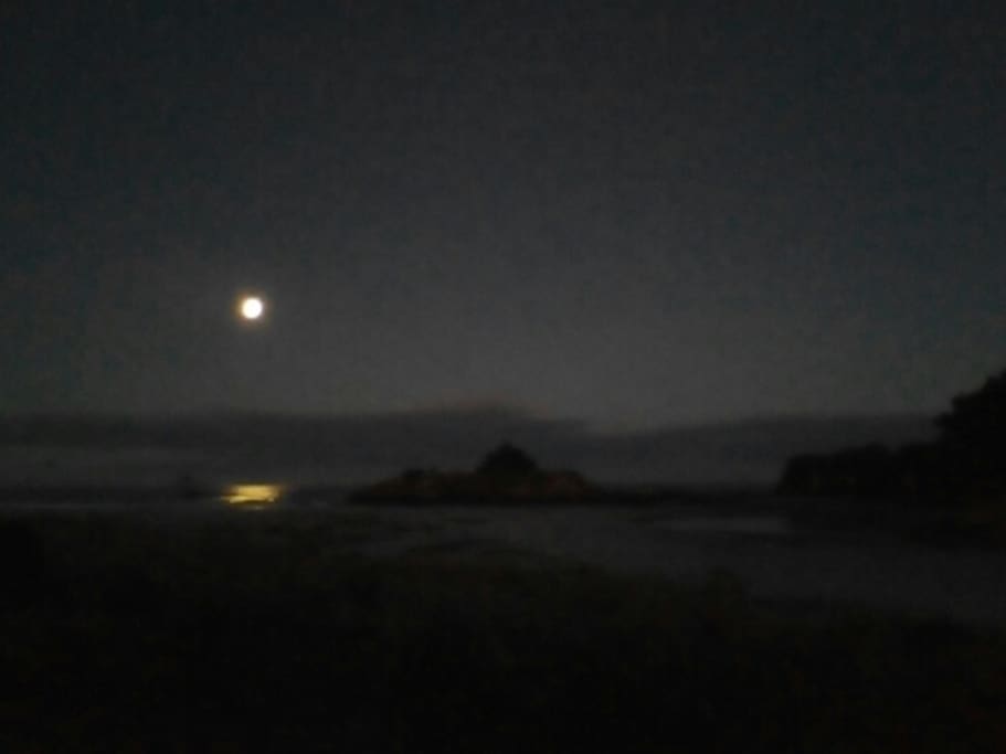 Take a moonlit stroll along the beach