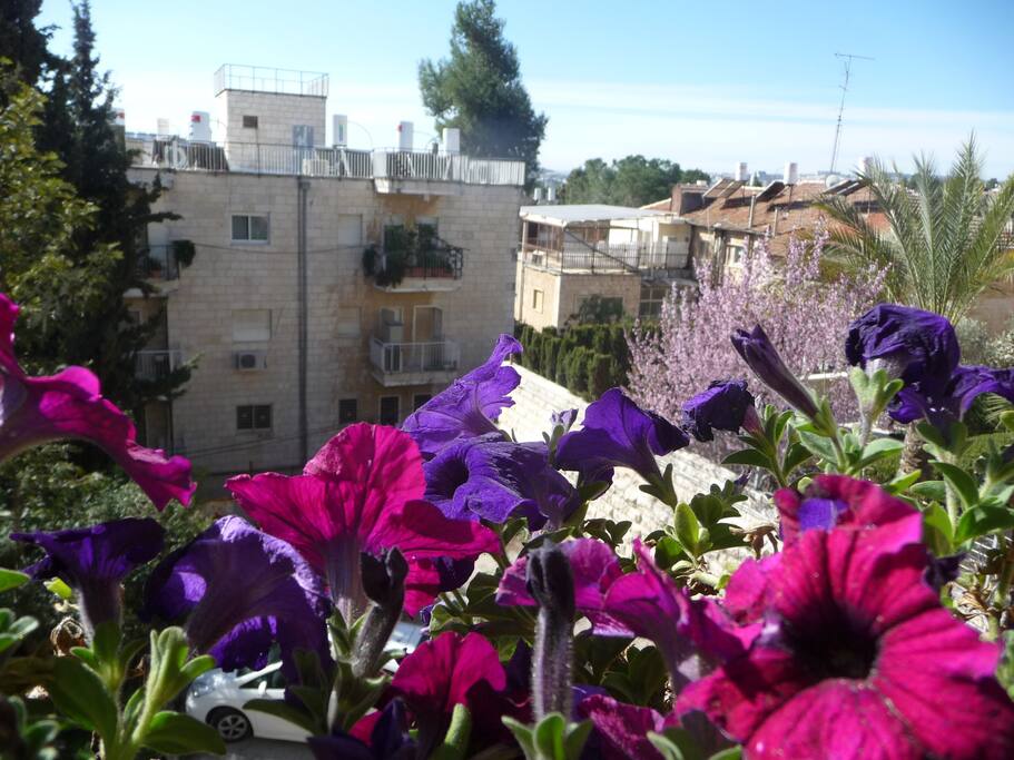 View from the balcony