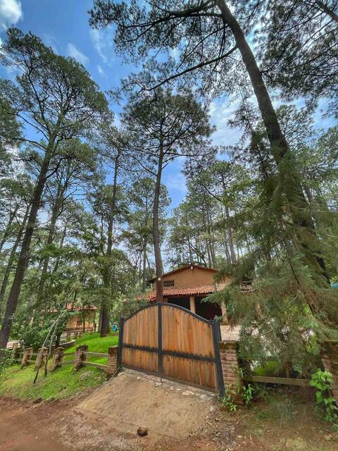 Cabin in the woods Tapalpa El Pino Azul