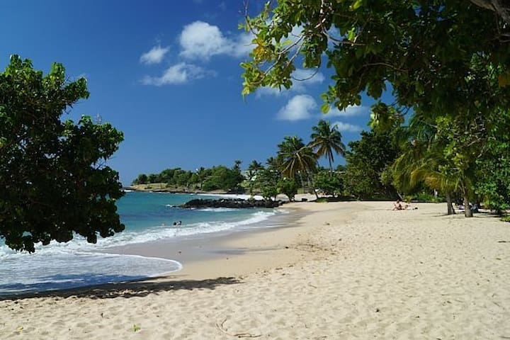 Get Images plages martinique For iPhone Free