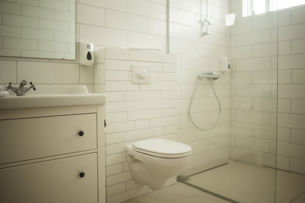 Newly renovated bathroom with great walk in shower