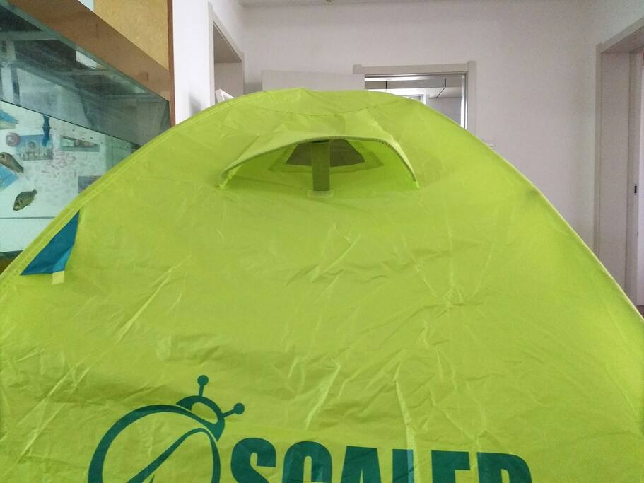 窗户