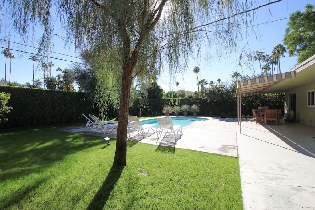 Pool and Patio