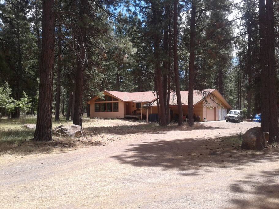 Our home in the forest