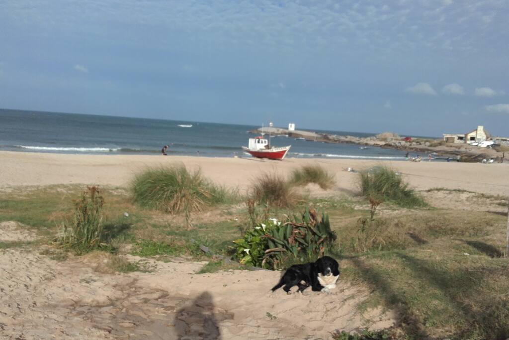 Playa de Los Pescadores