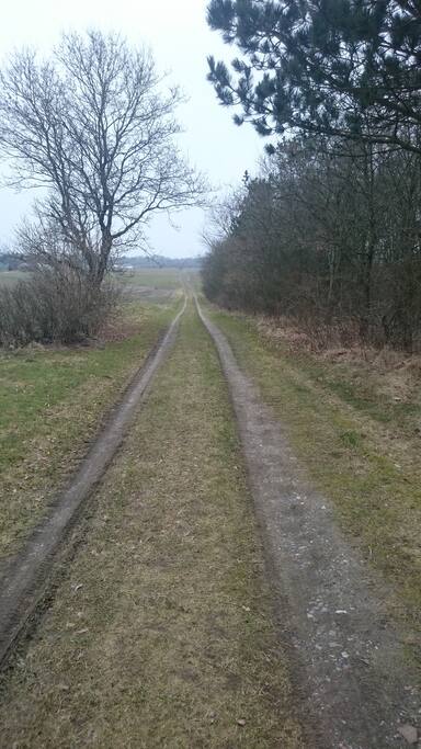 Walk behind the houses