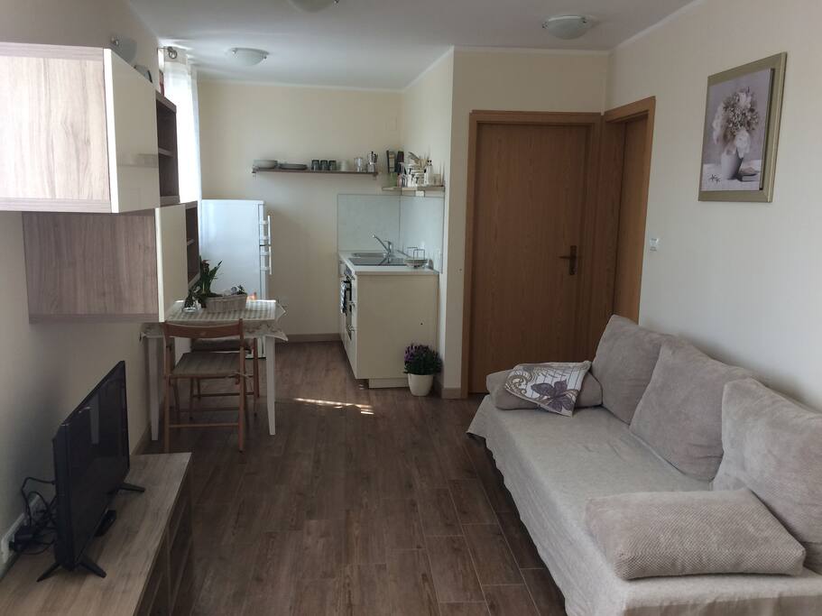 Living room& Dining table & Kitchen