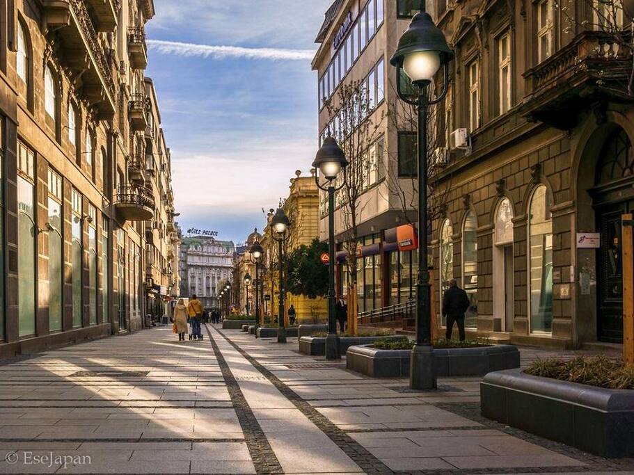 Vuka Karadzica St