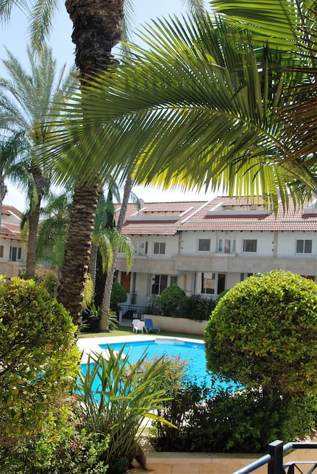 The common yard and the pool