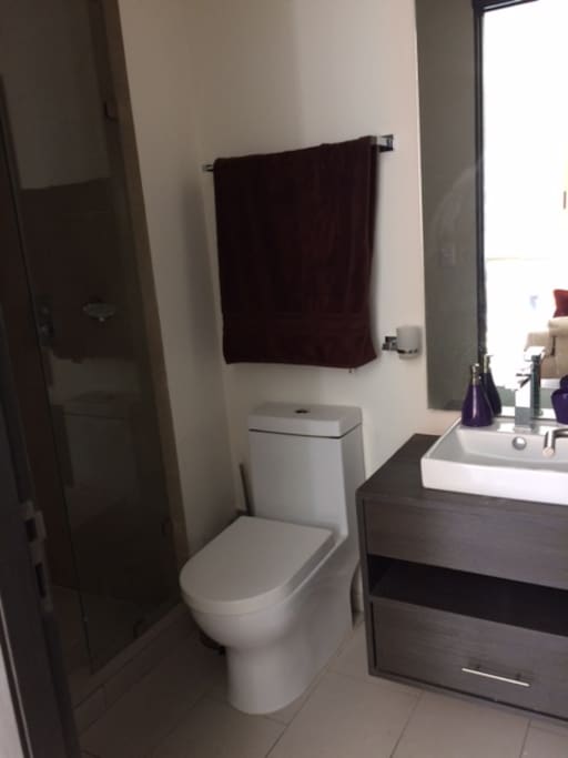 Private Bathroom across the hall