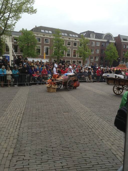 Käsemarkt in Alkmaar