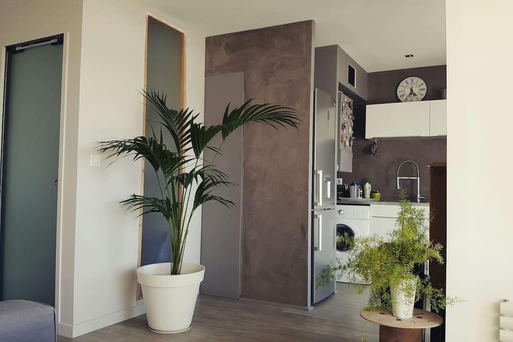 cuisine ouverte sur le salon, à gauche porte de la salle de bain