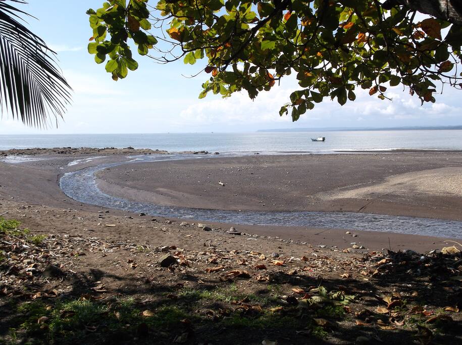 beach