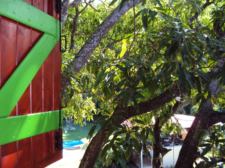 chambre dans les branches