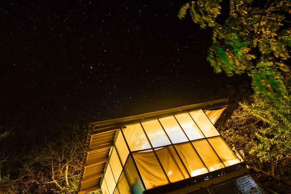 starry nights