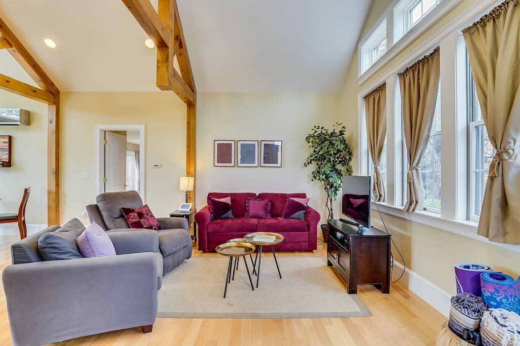Living room with sofa bed, HDTV, Cable, and Netflix