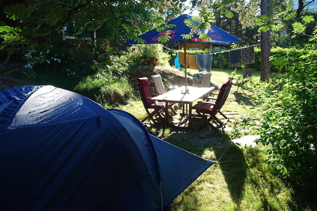 The Tent set up to our backyard. We can set up the tent here if the whole property or the main house is not reserved; if reserved, we'll guide you to some close