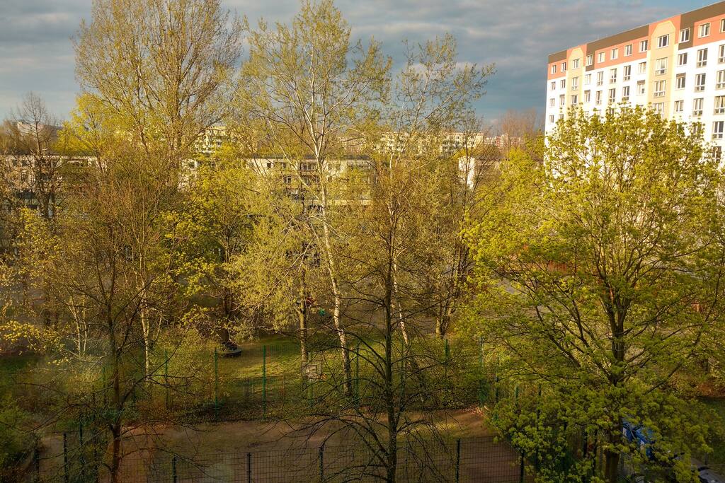 View from the window