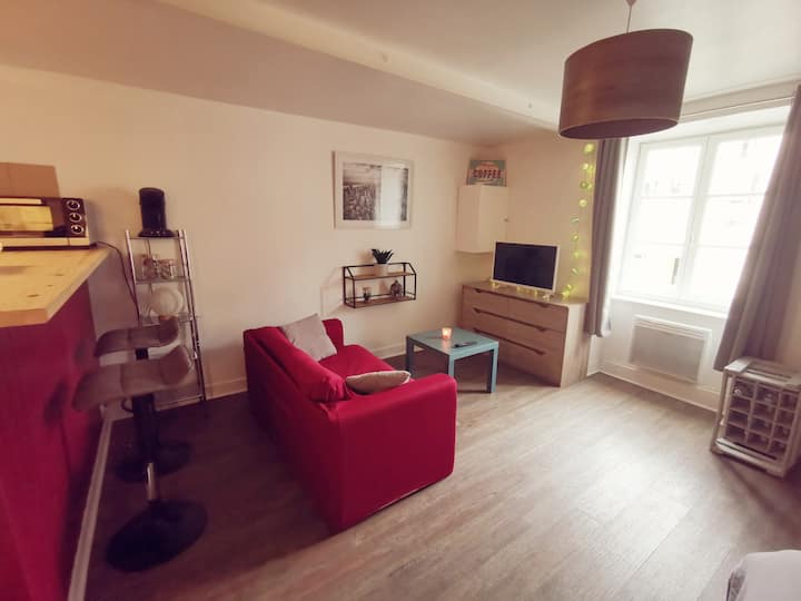 T1 Cosy Bord De Vienne, Proche Centre Ville. - 리모주