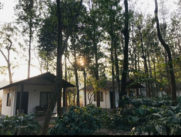 Airbnb Masinagudi Vacation Rentals Places To Stay Tamil