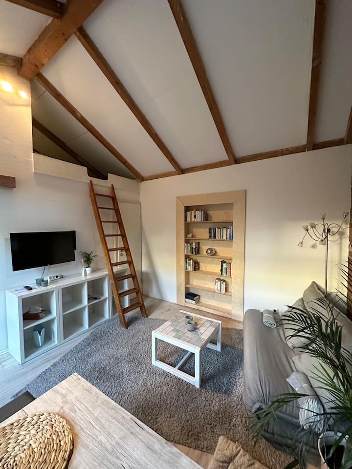 Tiny House In Der Grasdachsiedlung - Hannover