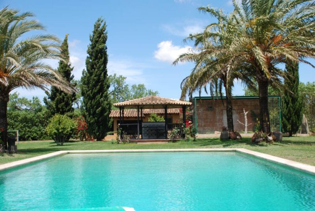 pergola and pool