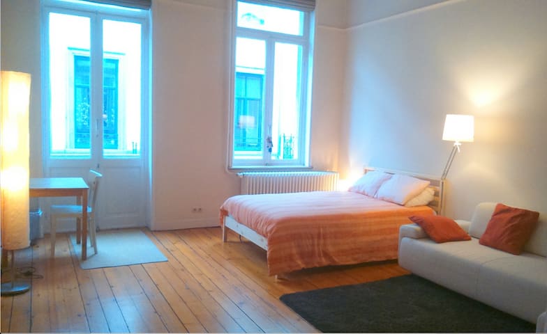 Large bright room 40 m2 in the center of Brussels