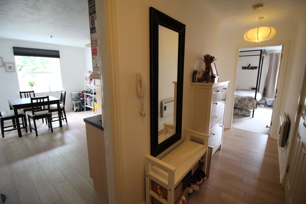 Entrance of the flat