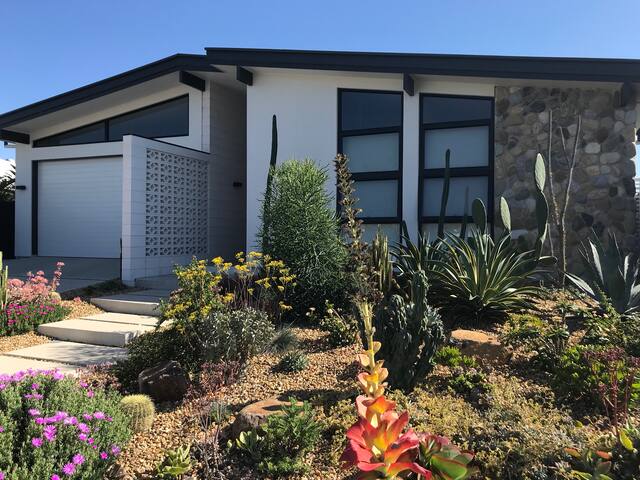 Mid Mod Casuarina gallery image 2