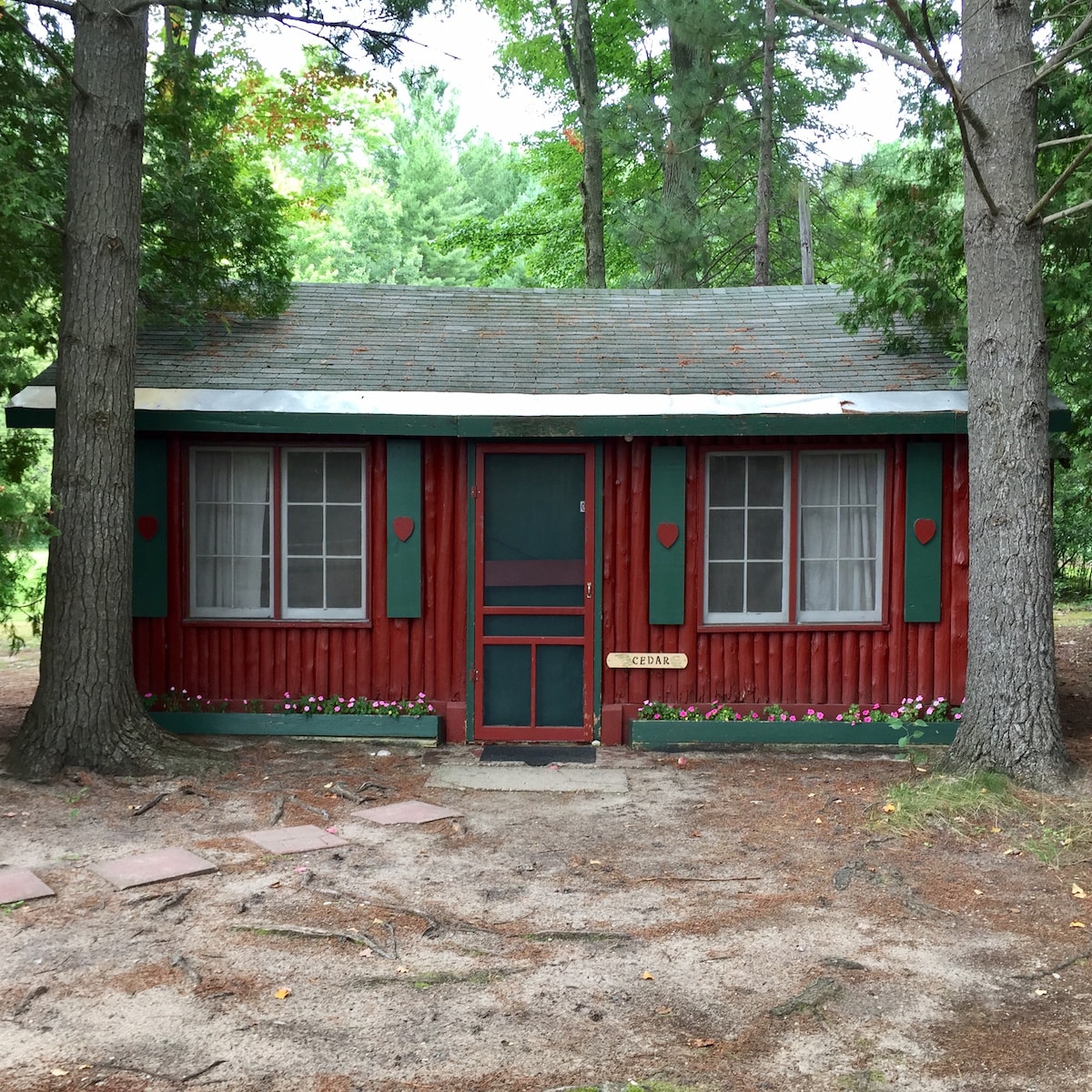 The Cedar log cabin is presented with a vibrant red exterior, featuring green trim around the door and windows. Nestled among pine trees, it is surrounded by a sandy area adorned with flowers. The welcoming entrance includes a small sign labeled 'Cedar.'