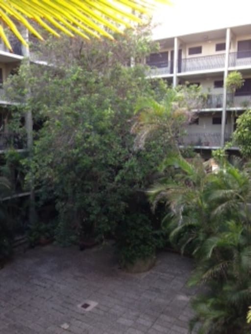 Building's inner courtyard