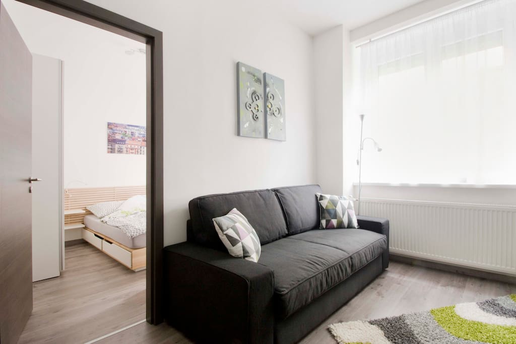 Living room - sofa folds out to Queen-size bed