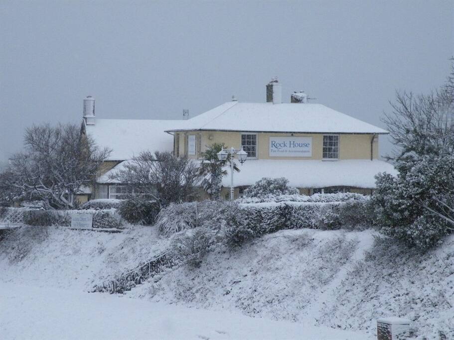 Shades of Winter