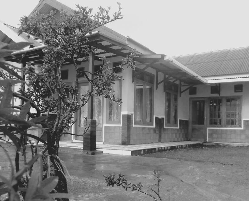 Cemara homestay Tosari pasuruan eastjava